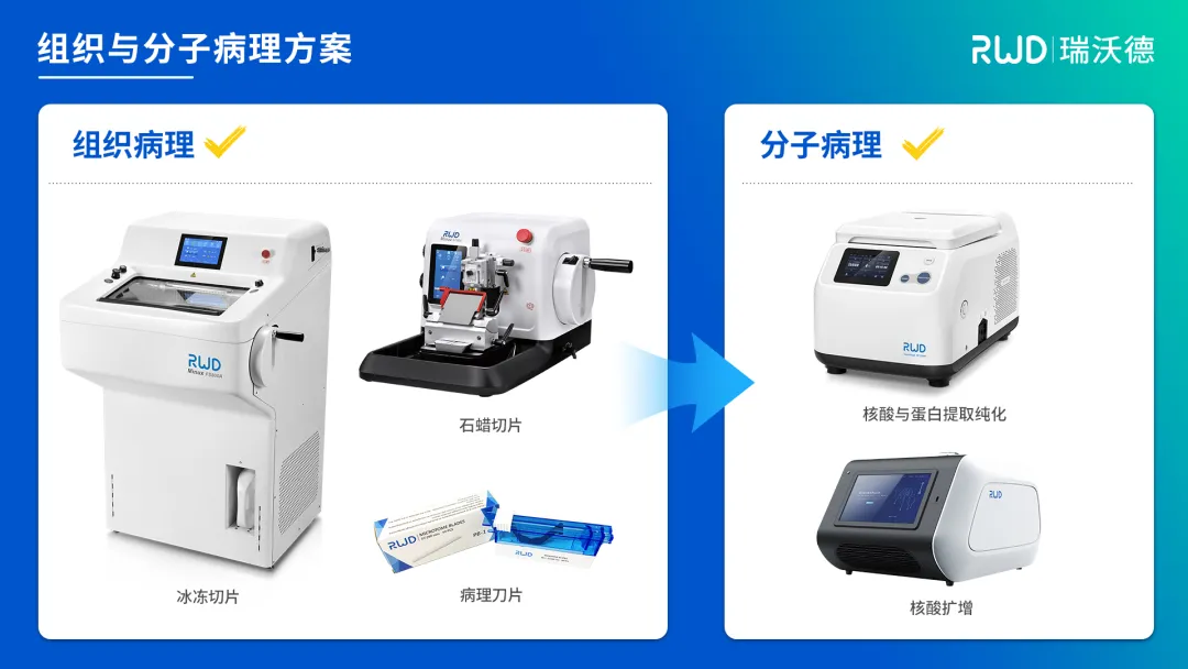 組織與分子病理方案.jpg