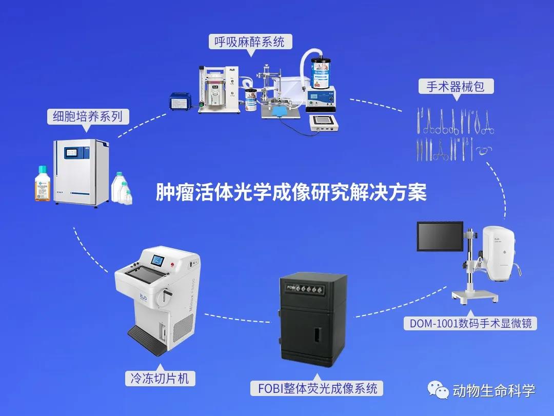 6-腫瘤活體光學(xué)成像研究解決方案.jpg