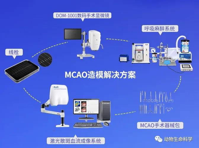 7-MCAO造模解決方案.jpg