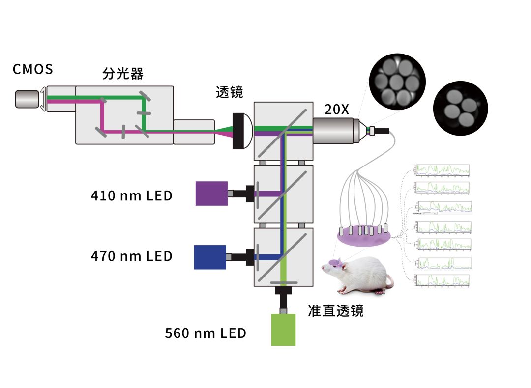 5-雙色記錄.jpg