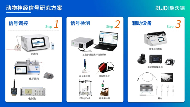 4-動物神經信號調控與檢測.jpg