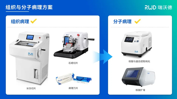 6-組織與分子病理.jpg