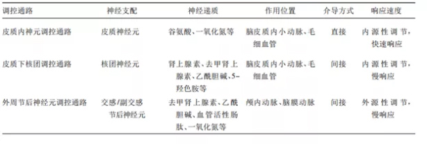 4-神經血管耦連機制.jpg