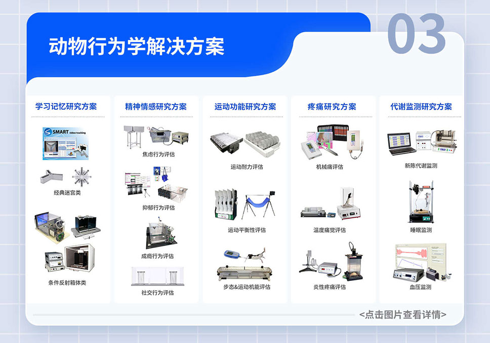 政府-貼息貸款-項目落地-A-官網(wǎng)_05.jpg