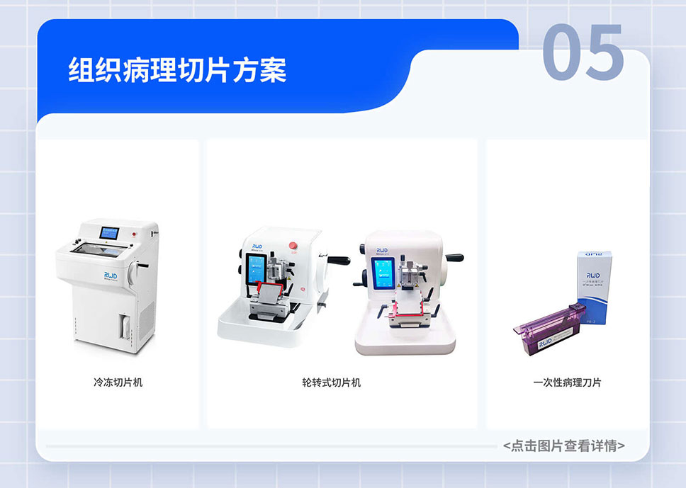 政府-貼息貸款-項目落地-A-官網(wǎng)_07.jpg