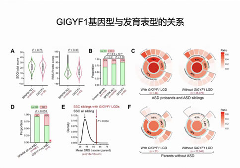 聚焦孤獨癥的遺傳基礎與神經環路研究 