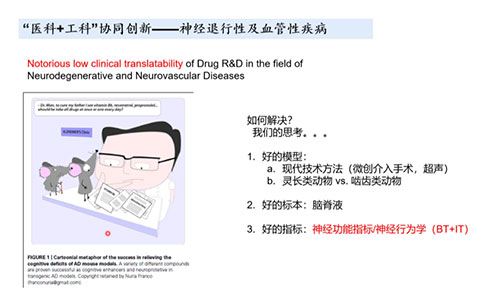 靈長類動物模型在神經退行性及血管性疾病研究中有哪些優勢