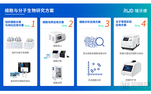 細胞與分子生物研究方案