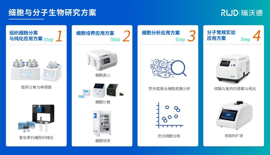 2-瑞沃德細(xì)胞與分子生物研究方案.jpg