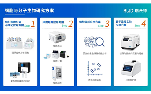 瑞沃德細胞與分子生物研究方案