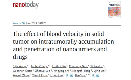 揭示血流速度對納米藥物在實(shí)體瘤內(nèi)蓄積和滲透的影響