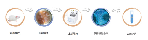 組織溫和酶解試劑盒的得力助手——碎片高效去除試劑盒