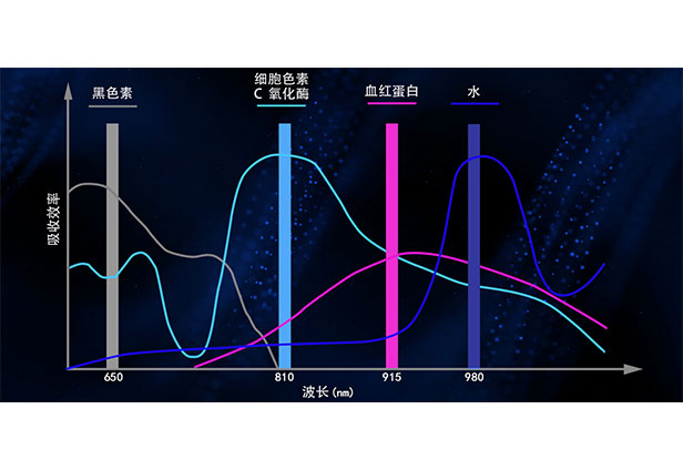 4種波長