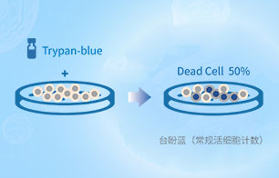 臺盼藍活細胞計數(shù)