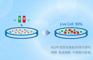 AO/PI雙熒光染色計數(shù)