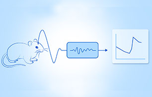 動物生理信號監(jiān)測
