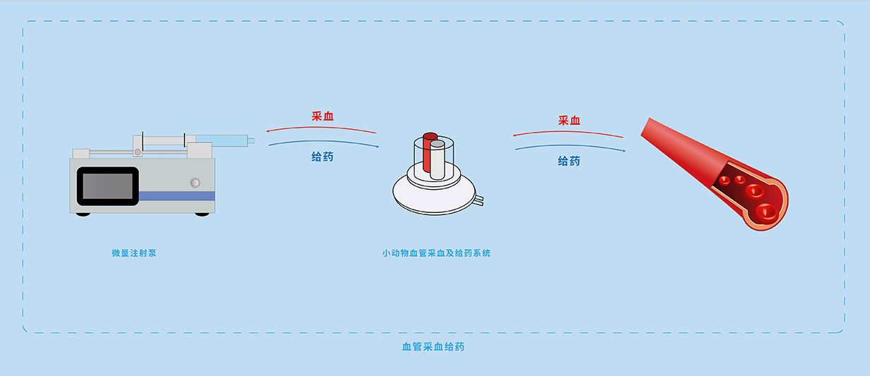 血管采血給藥