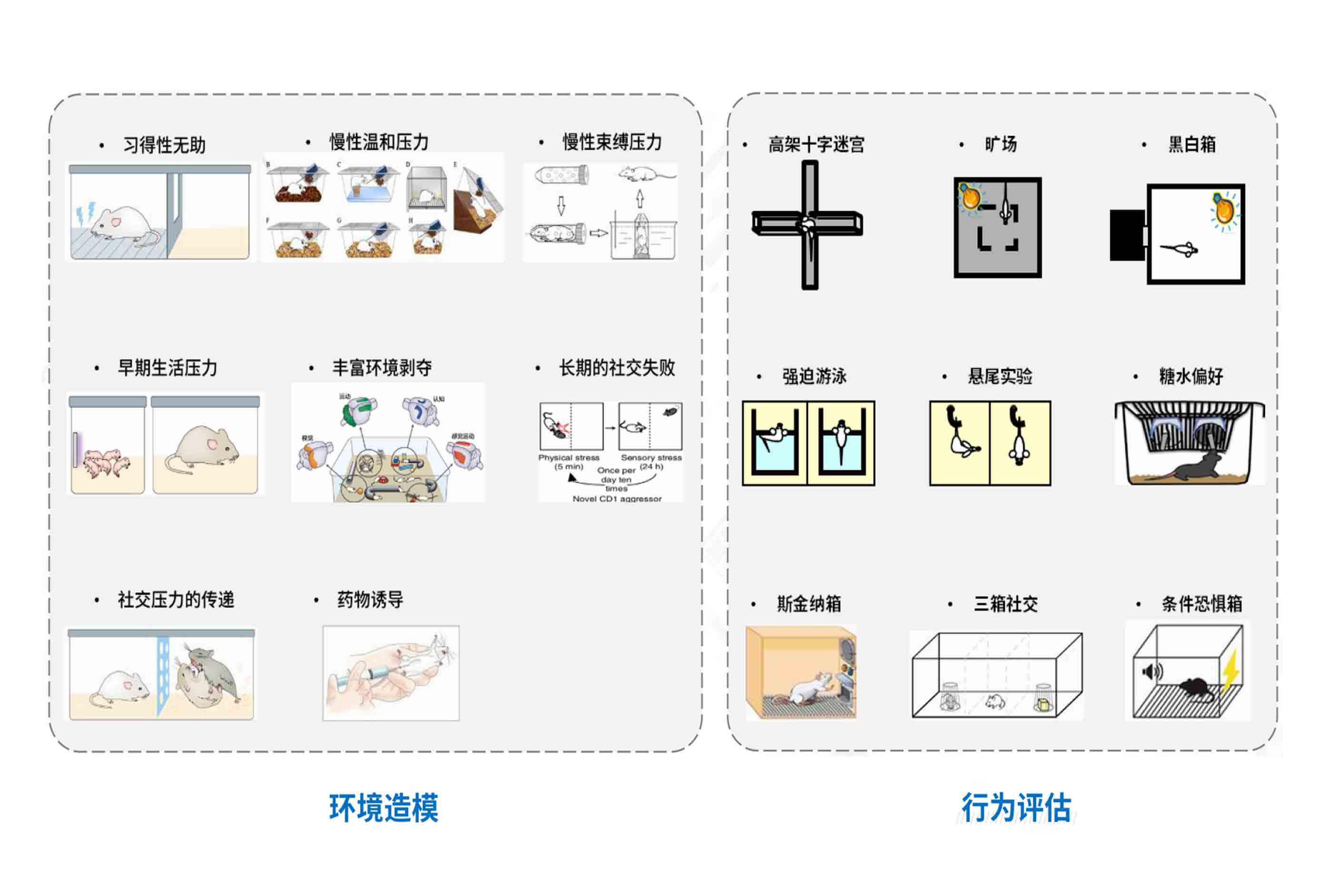 環(huán)境造模與行為評(píng)估