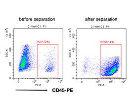 小鼠CD45+細胞分選試劑盒