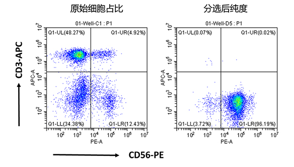 人NK細(xì)胞分選試劑盒（科研級）