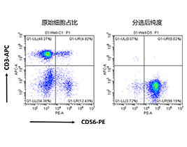 人NK細(xì)胞分選試劑盒（科研級）