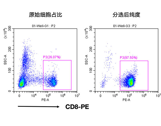 人CD8+細胞分選試劑盒（科研級）