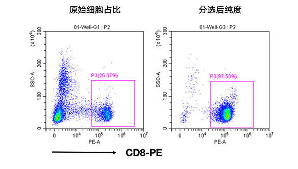 人CD8+細胞分選試劑盒（科研級）