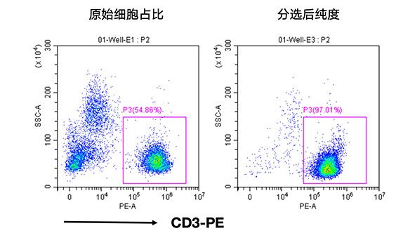 人CD3+細(xì)胞分選試劑盒（科研級(jí)）