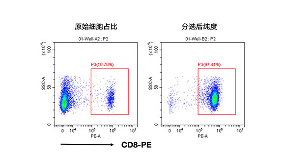 小鼠CD8+細胞分選試劑盒