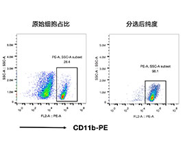 CD11b+小膠質(zhì)細胞分選試劑盒