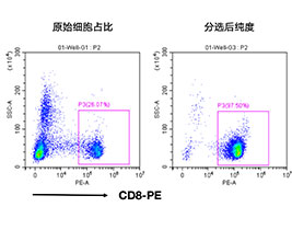 人CD8+細胞分選試劑盒（科研級）