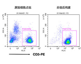 人CD3+細(xì)胞分選試劑盒（科研級(jí)）