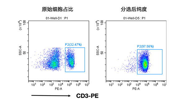 小鼠CD3+細胞分選試劑盒