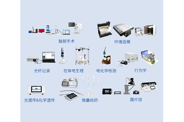 神經生物學教學實驗產品方案