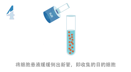 無柱式納米磁珠細胞分選試劑