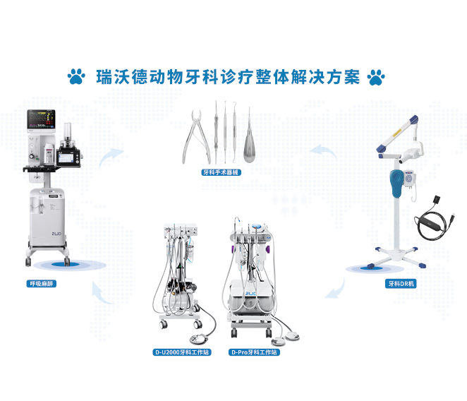 動物牙科診療整體解決方案